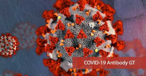 Covid Antibody - GT